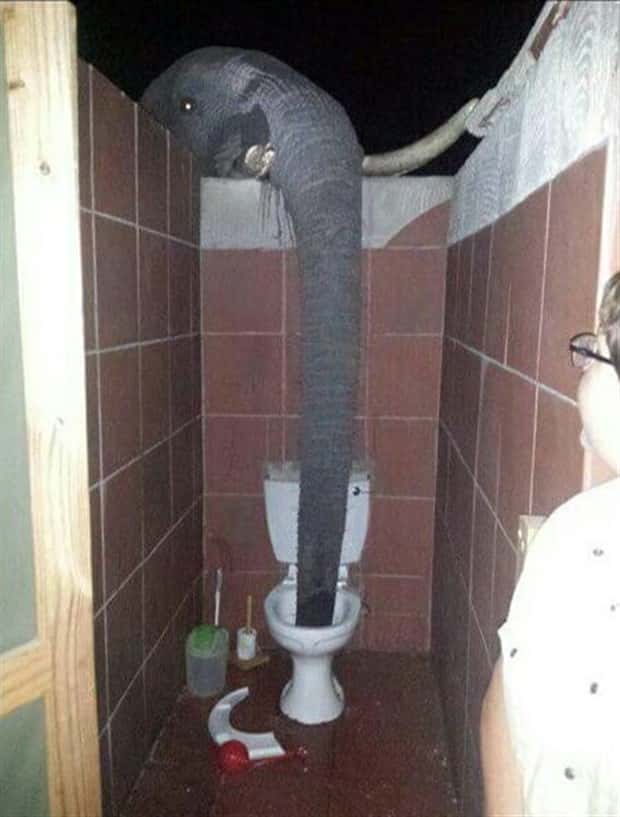 Klyker Picdump #1466 (41 photos)