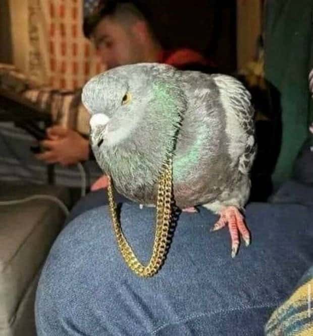 Klyker Picdump #1466 (41 photos)