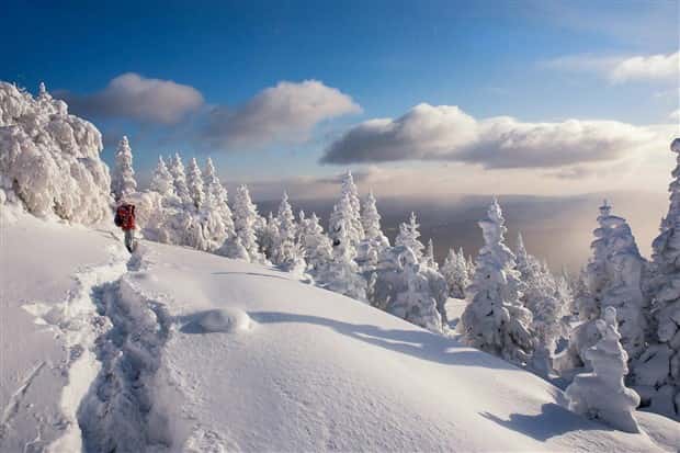 klyker picdump 5 23 2024 12 Klyker Picdump #1469 (44 photos)