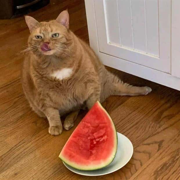 klyker picdump 5 23 2024 21 Klyker Picdump #1469 (44 photos)