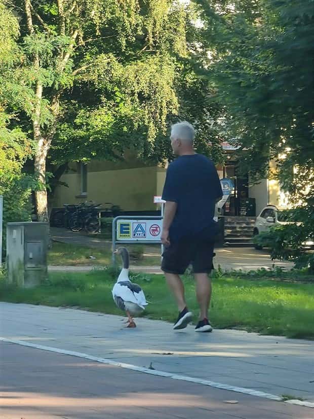 klyker picdump 5 23 2024 22 Klyker Picdump #1469 (44 photos)