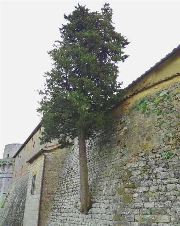 klyker picdump 5 23 2024 24 Klyker Picdump #1469 (44 photos)