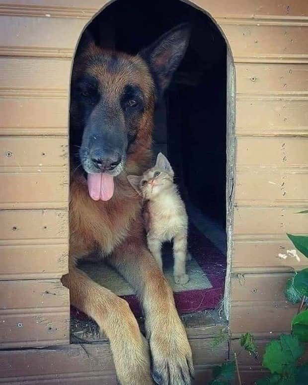 klyker picdump 5 23 2024 27 Klyker Picdump #1469 (44 photos)