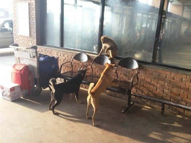 klyker picdump 5 23 2024 35 Klyker Picdump #1469 (44 photos)