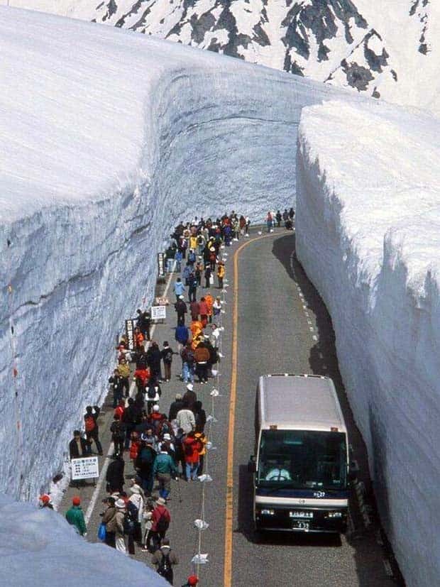 klyker picdump 5 23 2024 38 Klyker Picdump #1469 (44 photos)