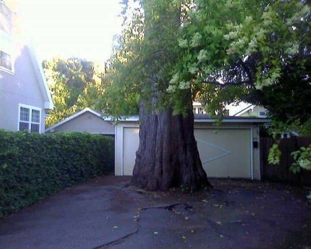 klyker picdump 5 23 2024 4 Klyker Picdump #1469 (44 photos)