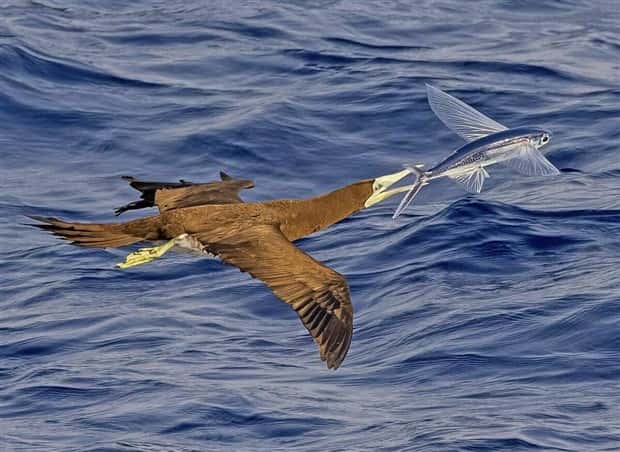 klyker picdump 5 23 2024 43 Klyker Picdump #1469 (44 photos)