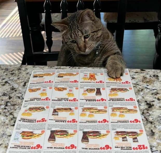 klyker picdump 5 23 2024 44 Klyker Picdump #1469 (44 photos)