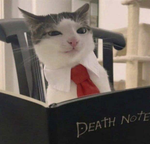 klyker picdump 5 23 2024 6 Klyker Picdump #1469 (44 photos)