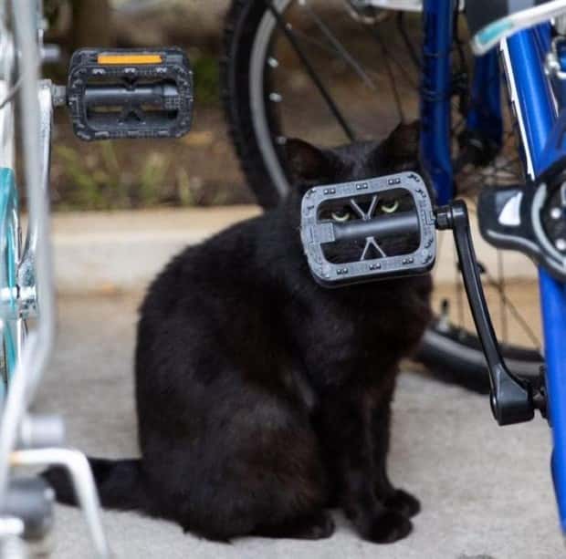 Klyker Picdump #1470 (45 photos)