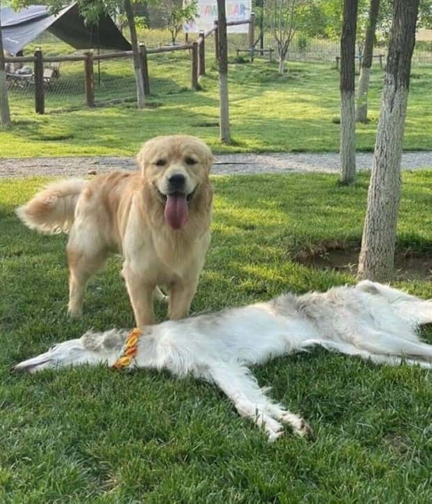 Klyker Picdump #1470 (45 photos)