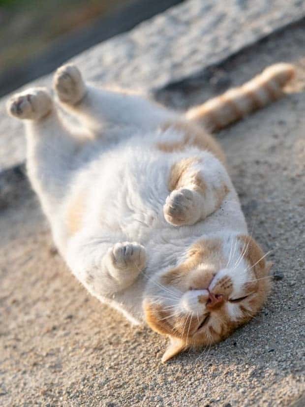 Klyker Picdump #1470 (45 photos)