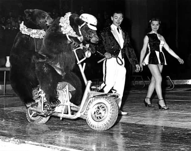 Klyker Picdump #1470 (45 photos)