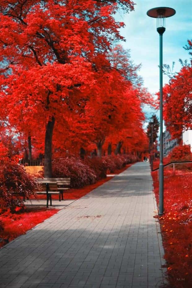 Klyker Picdump #1470 (45 photos)