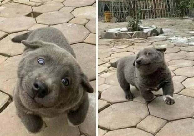 Klyker Picdump #1471 (41 photos)