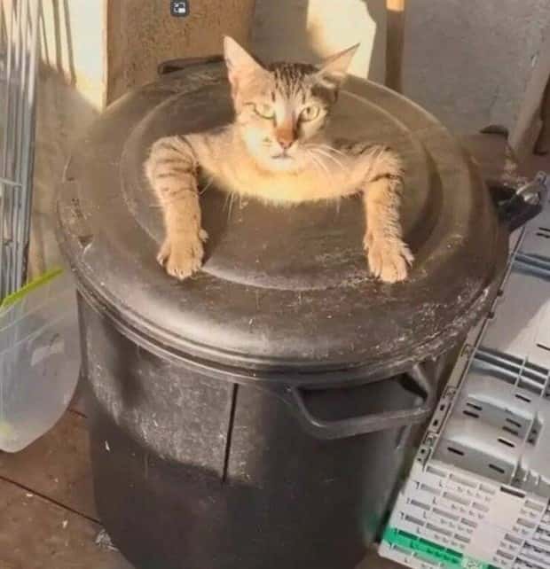 Klyker Picdump #1471 (41 photos)