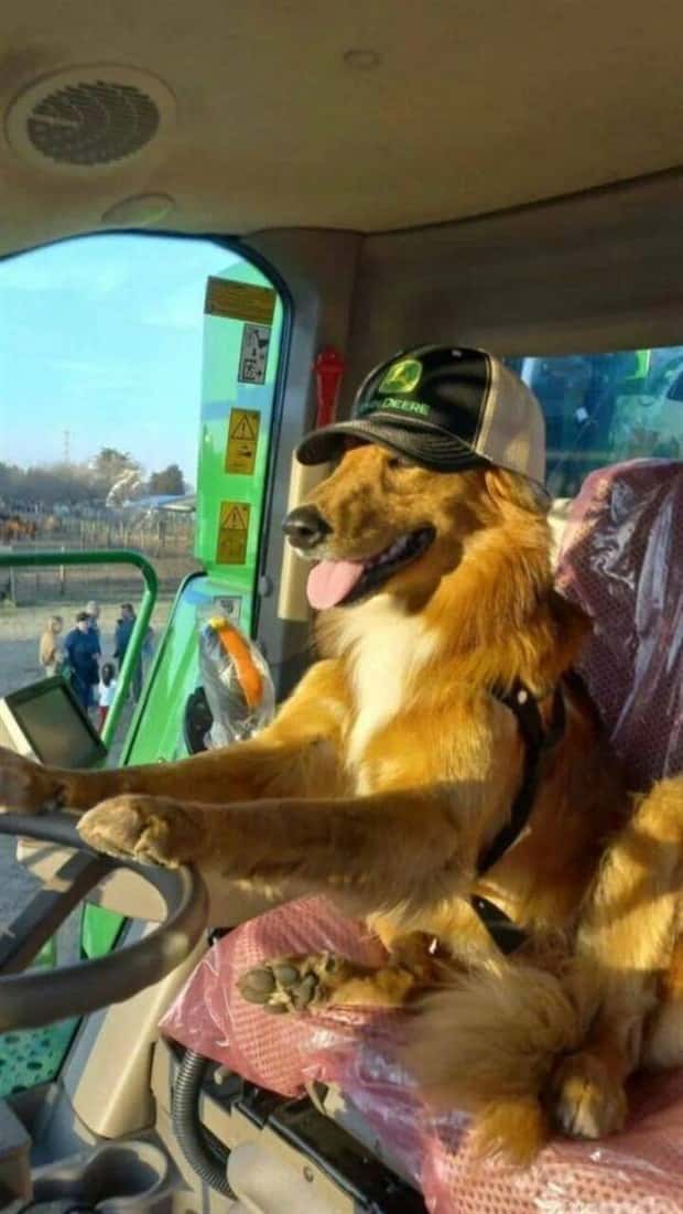 Klyker Picdump #1471 (41 photos)