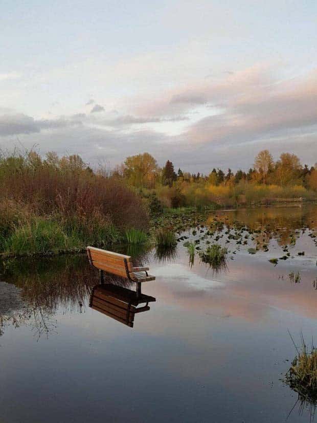 Klyker Picdump #1471 (41 photos)