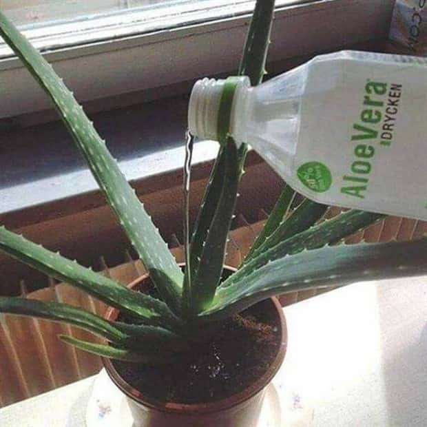 Klyker Picdump #1471 (41 photos)