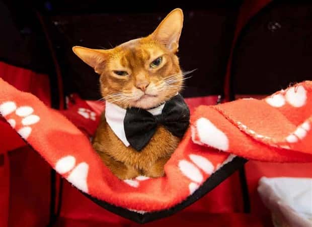 Klyker Picdump #1471 (41 photos)