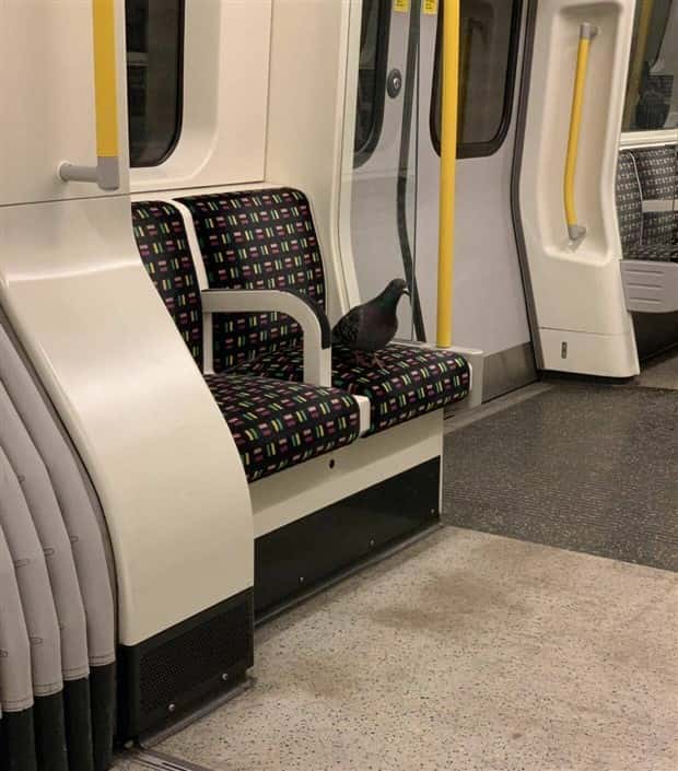 klyker picdump 5 28 2024 10 Klyker Picdump #1472 (42 photos)