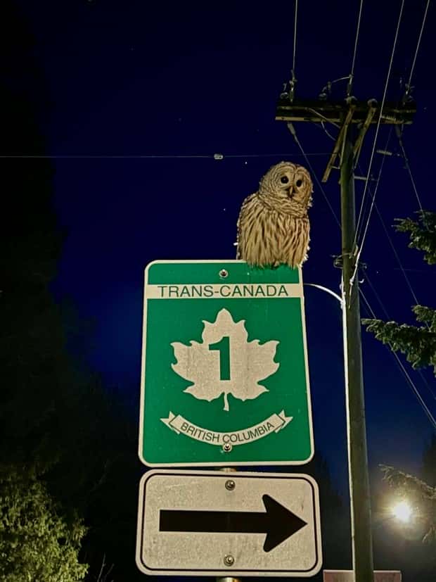 klyker picdump 5 28 2024 14 Klyker Picdump #1472 (42 photos)