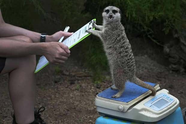 klyker picdump 5 28 2024 28 Klyker Picdump #1472 (42 photos)