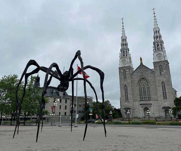 klyker picdump 5 28 2024 33 Klyker Picdump #1472 (42 photos)