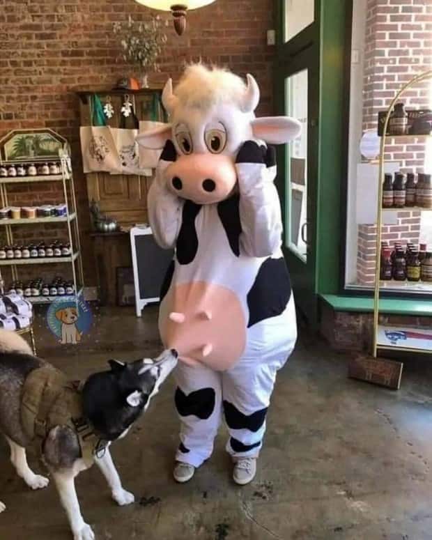 klyker picdump 5 29 2024 1 Klyker Picdump #1473 (43 photos)