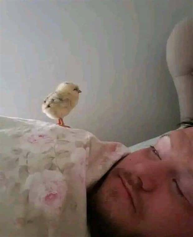 klyker picdump 5 29 2024 14 Klyker Picdump #1473 (43 photos)