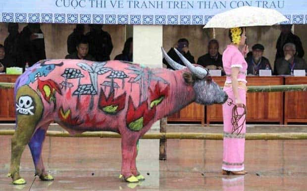 klyker picdump 5 29 2024 2 Klyker Picdump #1473 (43 photos)