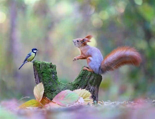 klyker picdump 5 29 2024 23 Klyker Picdump #1473 (43 photos)