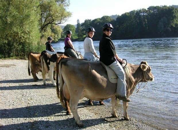 klyker picdump 5 29 2024 25 Klyker Picdump #1473 (43 photos)