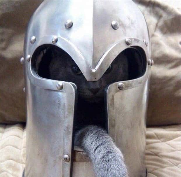 klyker picdump 5 29 2024 35 Klyker Picdump #1473 (43 photos)