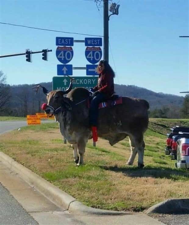 Klyker Picdump #1455 (55 photos)