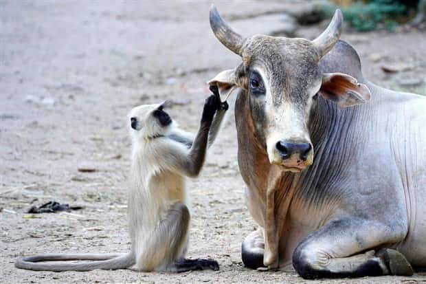 Klyker Picdump #1455 (55 photos)