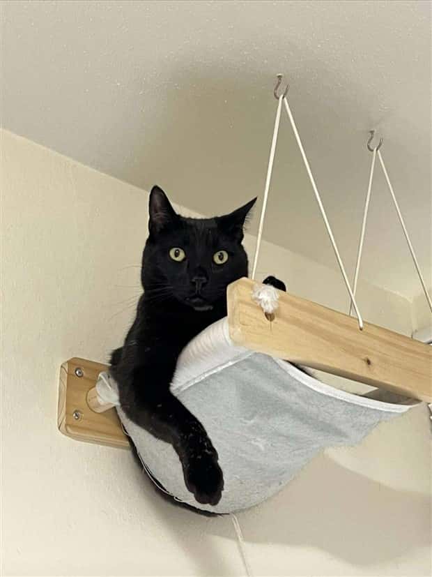 Klyker Picdump #1455 (55 photos)