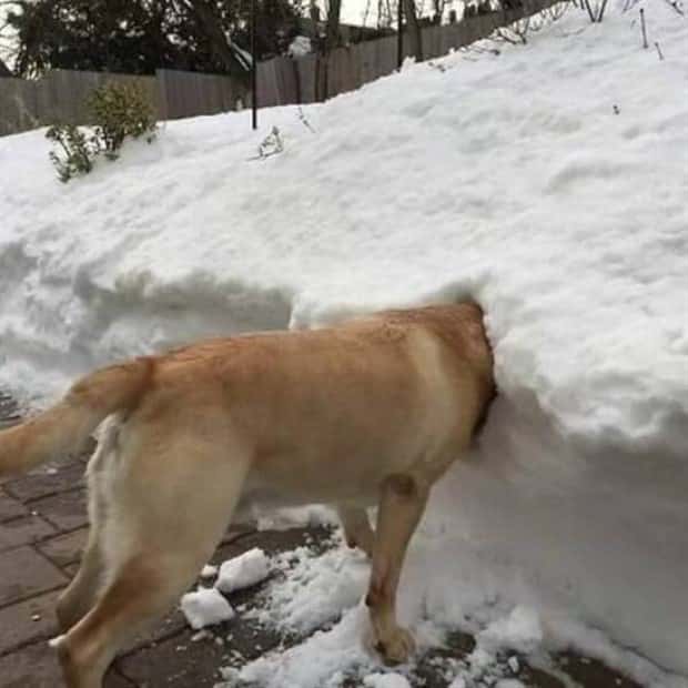 Klyker Picdump #1455 (55 photos)