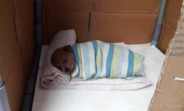 Klyker Picdump #1455 (55 photos)