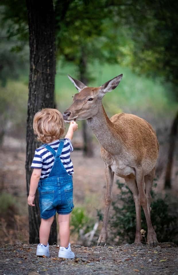 Klyker Picdump #1455 (55 photos)