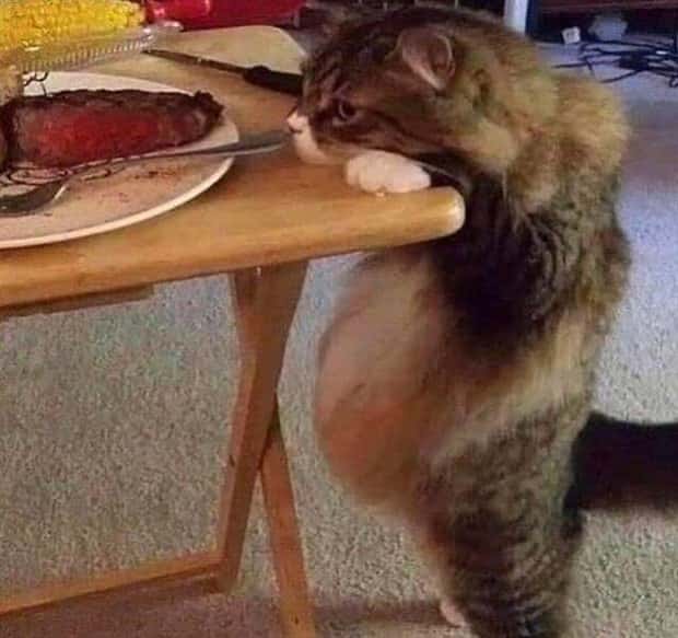 Klyker Picdump #1455 (55 photos)