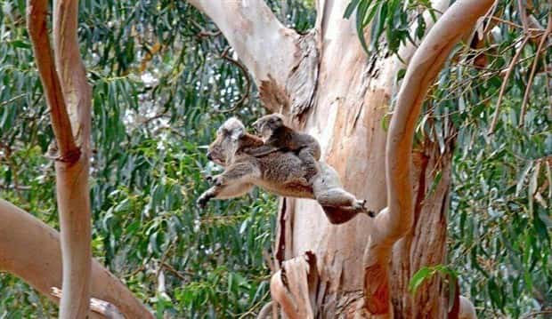 Klyker Picdump #1455 (55 photos)