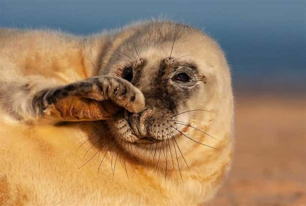 Klyker Picdump #1455 (55 photos)