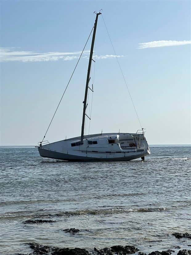 Klyker Picdump #1455 (55 photos)