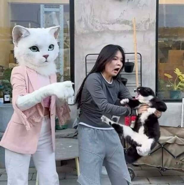 Klyker Picdump #1455 (55 photos)