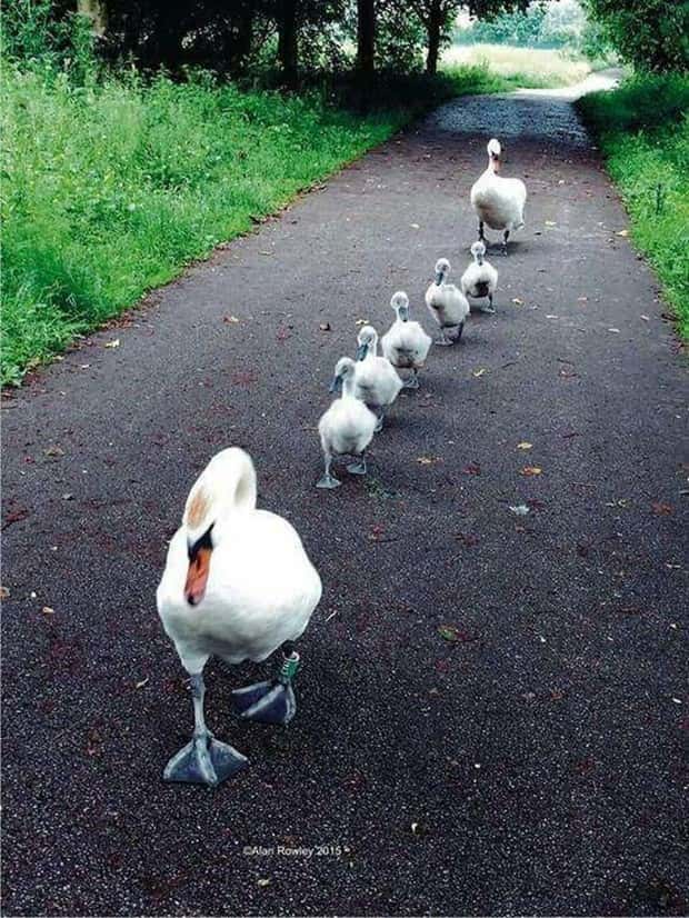 Klyker Picdump #1474 (44 photos)