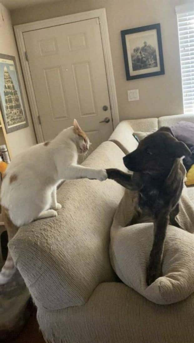 Klyker Picdump #1474 (44 photos)