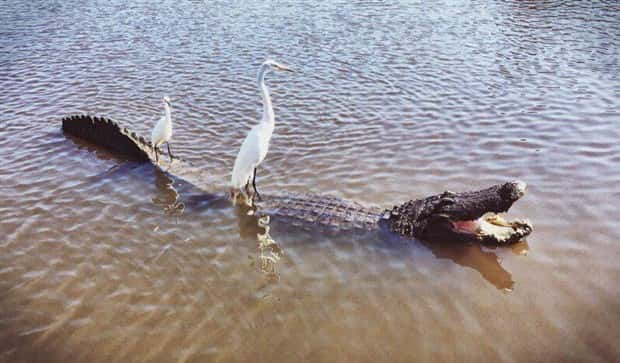 Klyker Picdump #1474 (44 photos)