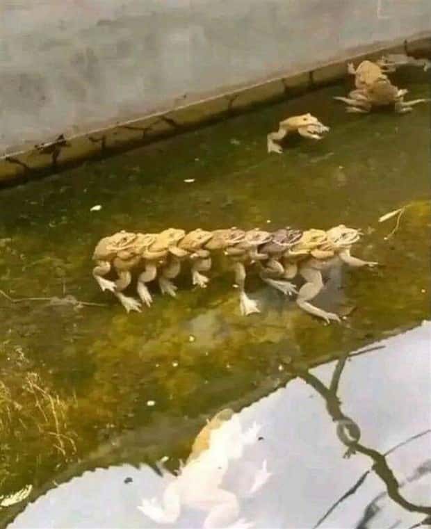 Klyker Picdump #1475 (45 photos)