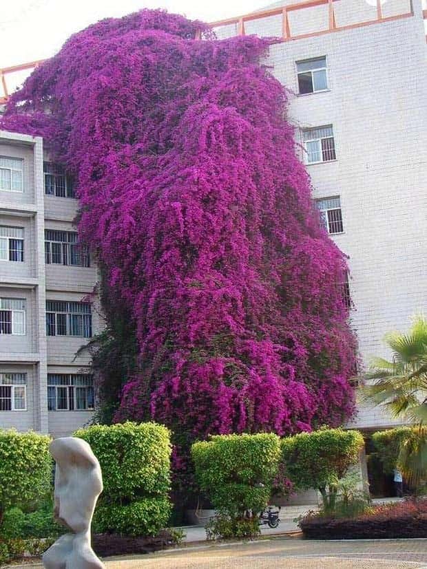 Klyker Picdump #1475 (45 photos)